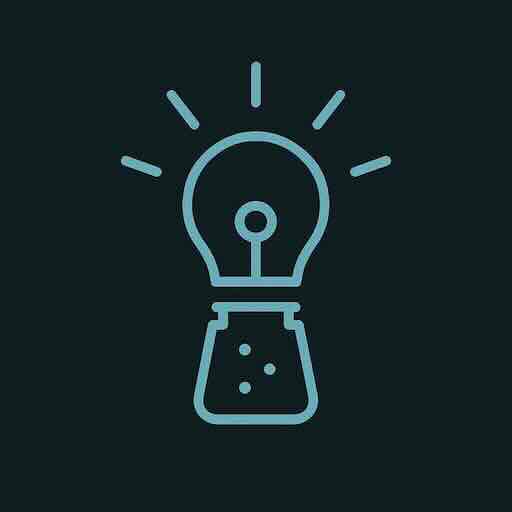 Light and Salt Software Logo